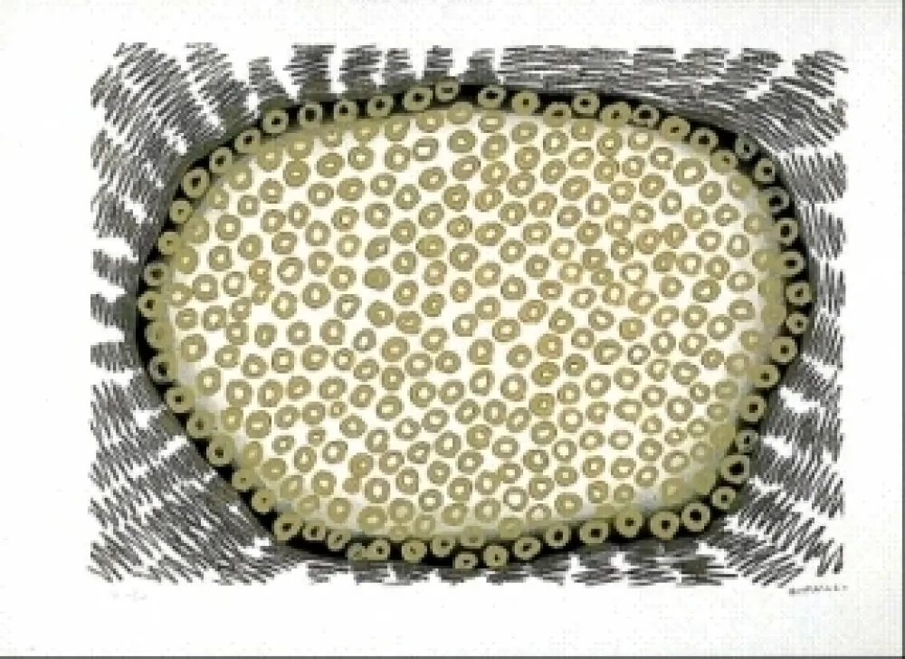 Литография Gordillo - Sans titre