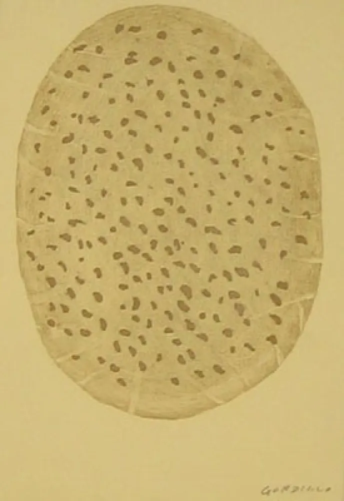 Офорт Gordillo - S/T