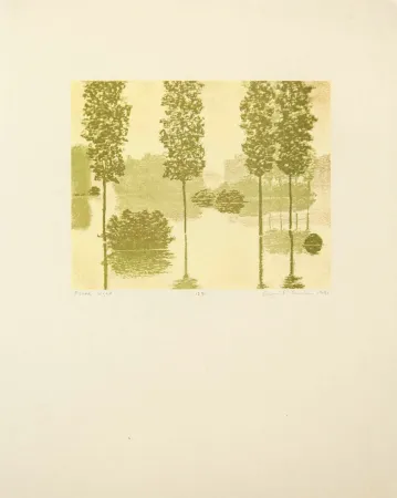 Relief Gornick - Flood Light, from Art Pro-Choice II