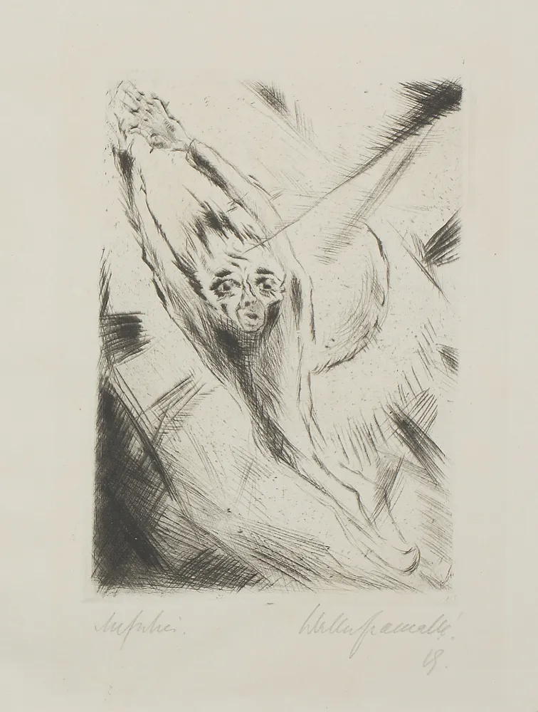 Нет Никаких Технических Gramatté - Aufschrei, (Scream) 