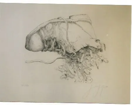 Гравюра Grass - Kippen and Schun