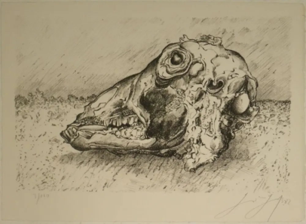 Литография Grass - Schafskopf.