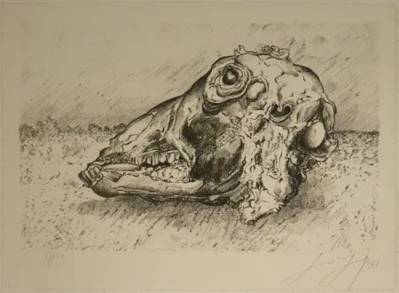 Литография Grass - Schafskopf.