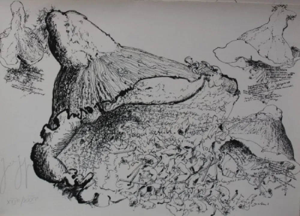 Литография Grass - Senza titolo