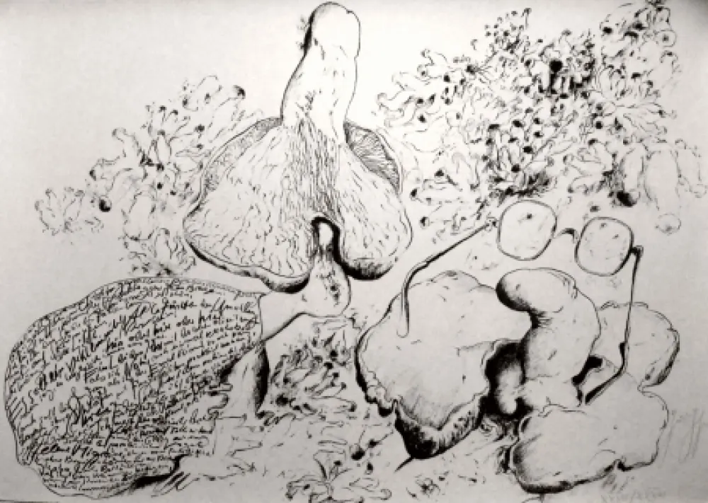 Литография Grass - Senza titolo