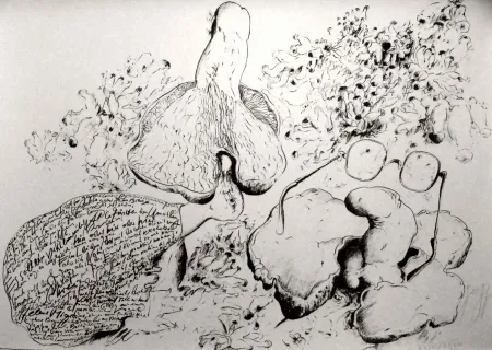 Литография Grass - Senza titolo