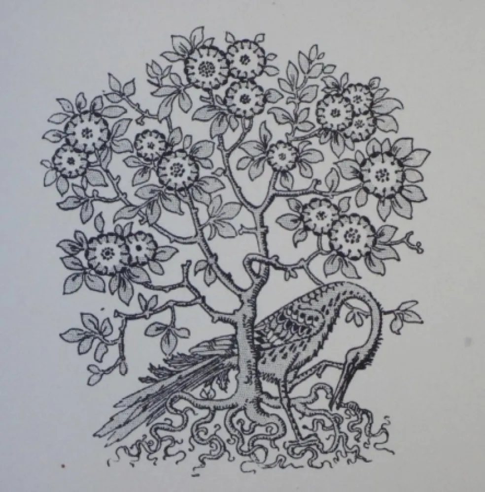 Гравюра На Дереве Grasset - Ornements typographiques