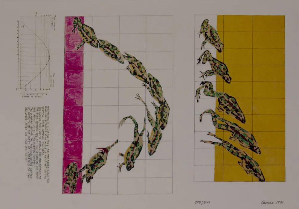 Сериграфия Graves - Untitled