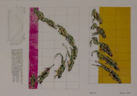 Сериграфия Graves - Untitled