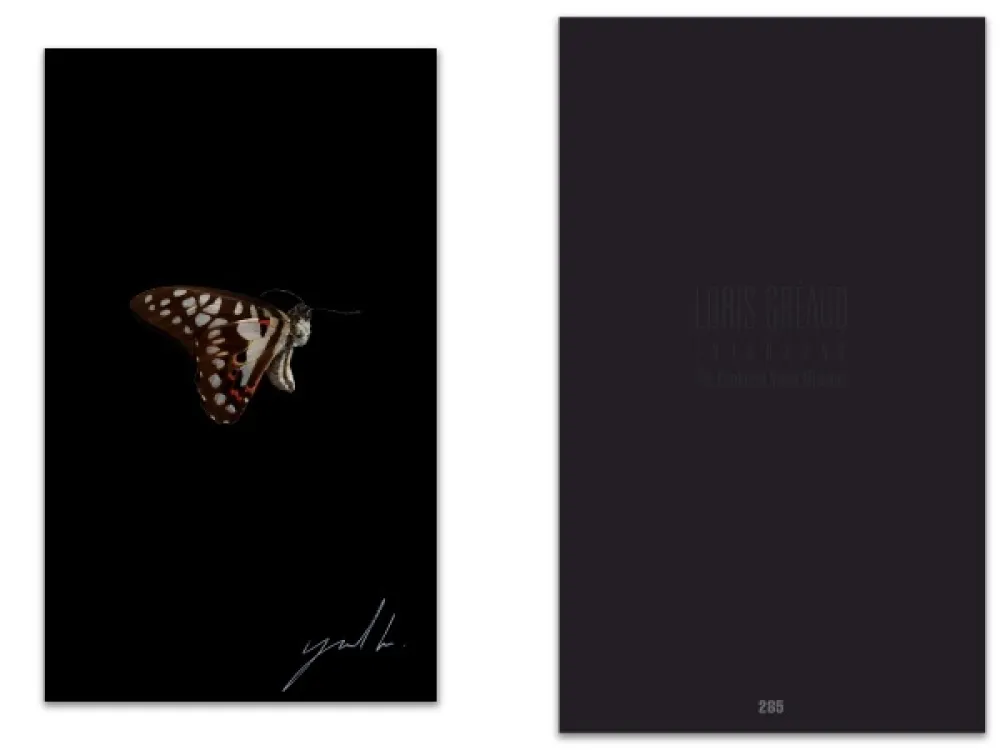 Иллюстрированная Книга Greaud - L'art en écrit