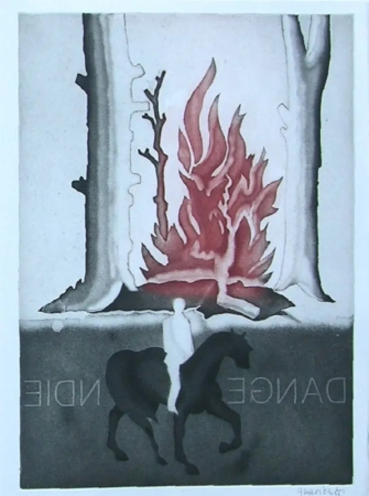 Иллюстрированная Книга Guarienti - Crachefeu