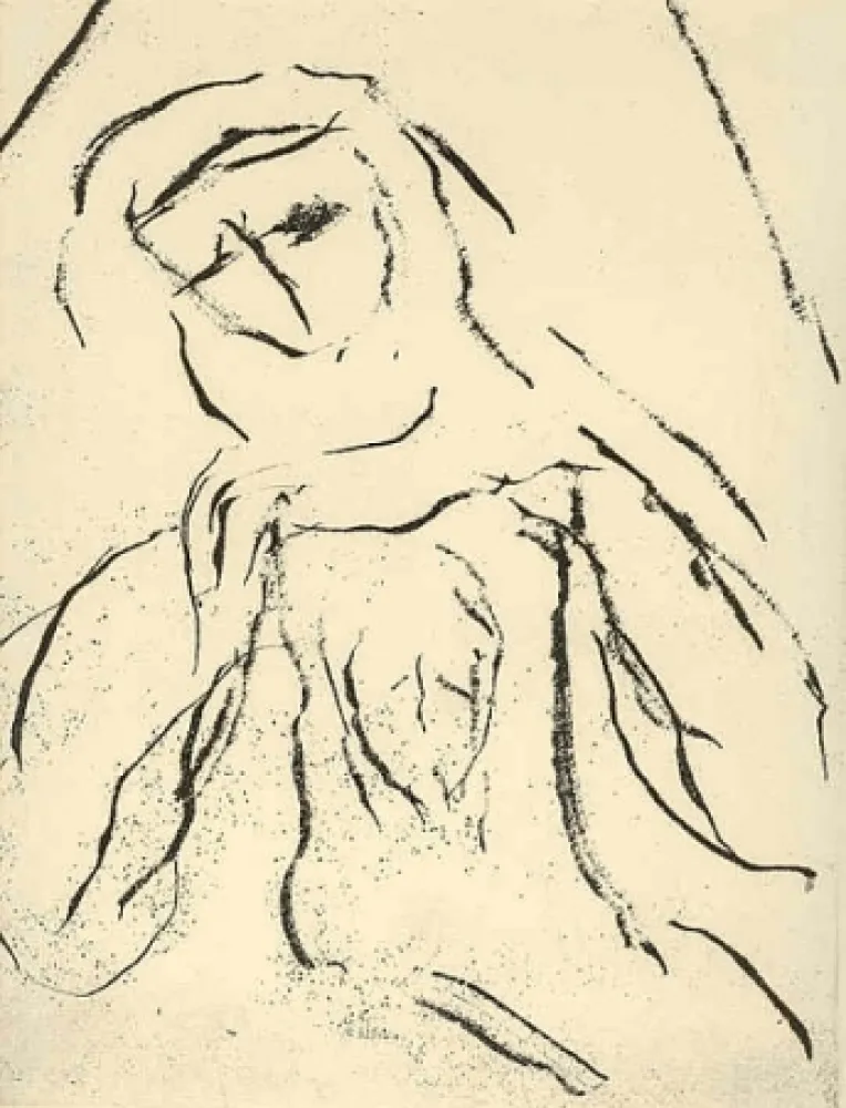 Иллюстрированная Книга Guidi - Le voile de Véronique