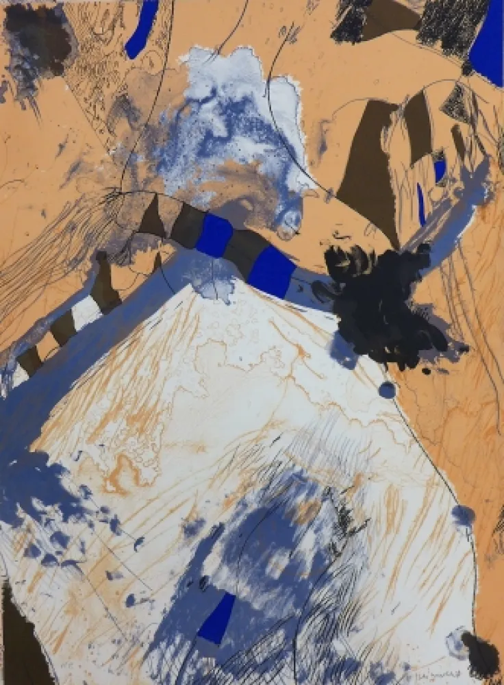 Литография Guinovart - Com muntanya