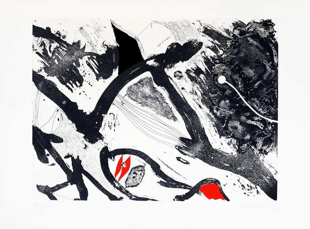 Гравюра Guinovart - Escala en negro