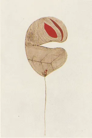 Многоэкземплярное Произведение Guinovart - Fulles-6