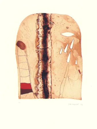 Многоэкземплярное Произведение Guinovart - Imatges i terra-1