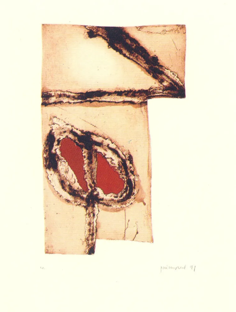 Многоэкземплярное Произведение Guinovart - Imatges i terra-5