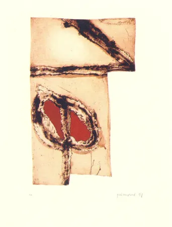 Многоэкземплярное Произведение Guinovart - Imatges i terra-5