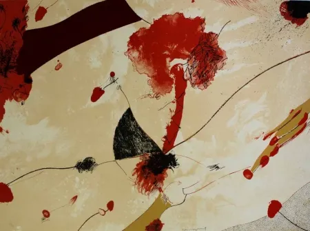 Литография Guinovart - Natu