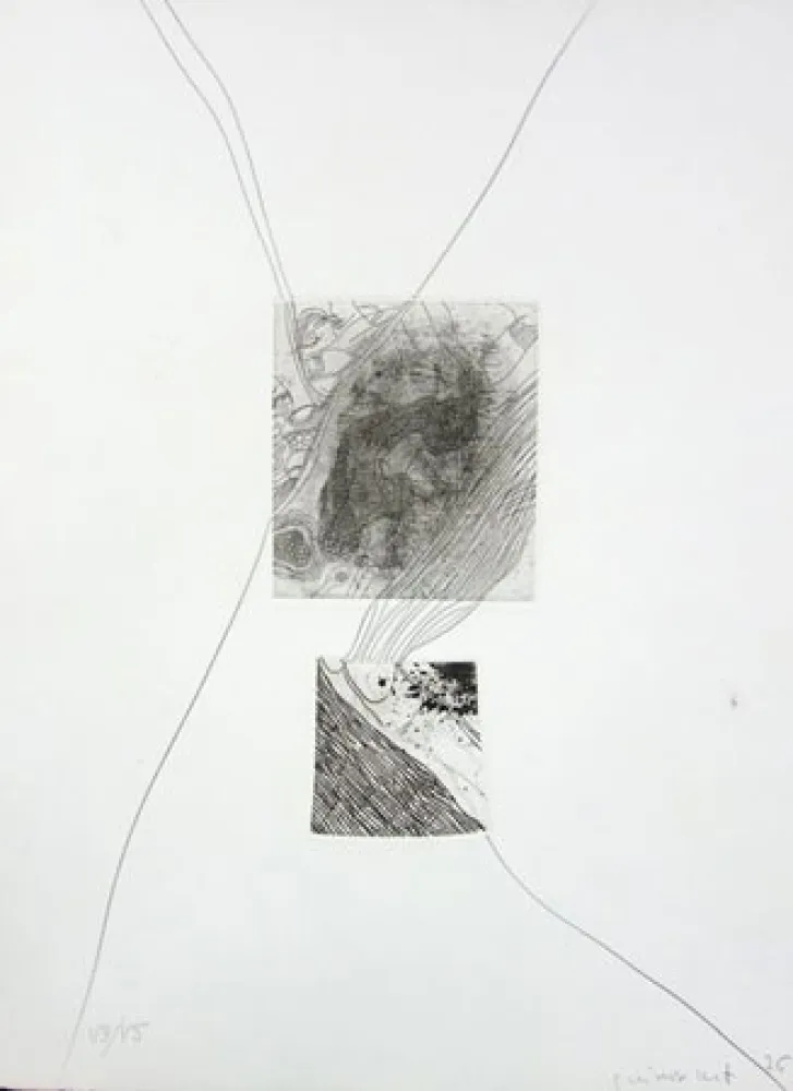 Офорт Guinovart - S/T