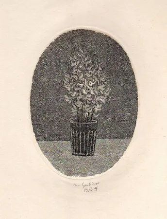 Иллюстрированная Книга Gulino - Canti