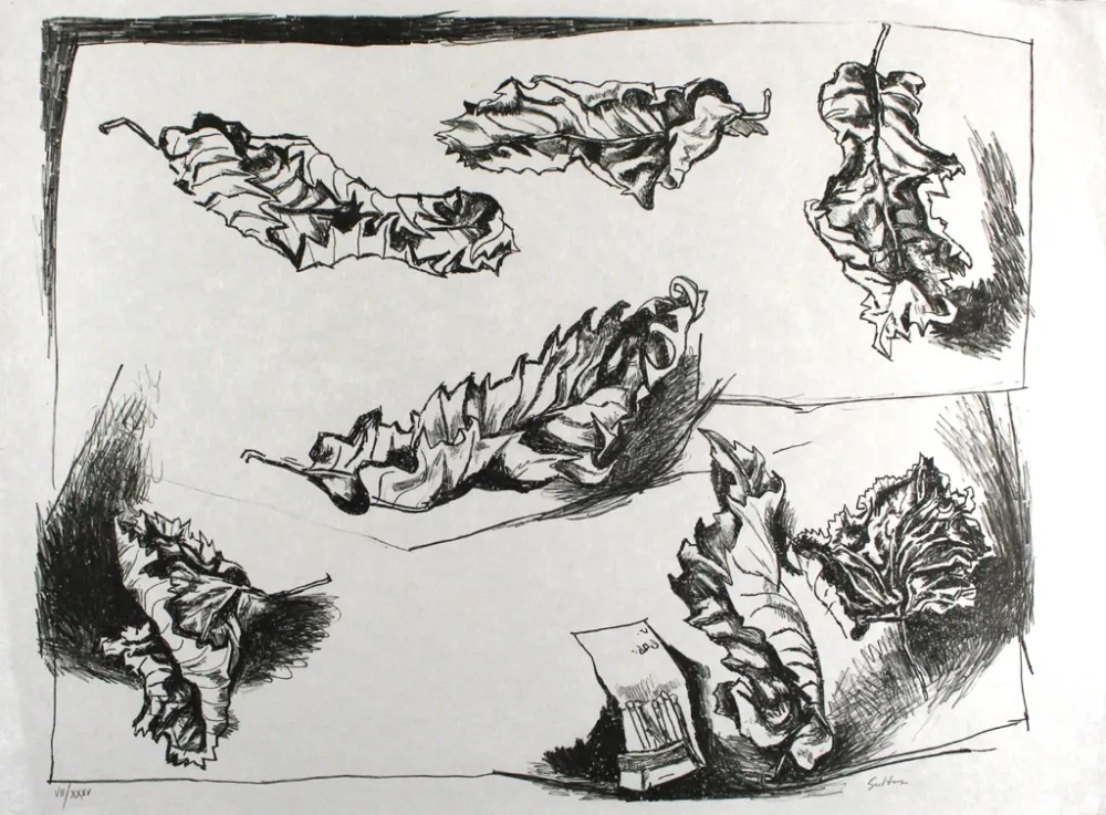 Литография Guttuso - Foglie