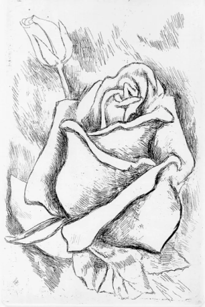 Иллюстрированная Книга Guttuso - Gli anni delle immagini perdute