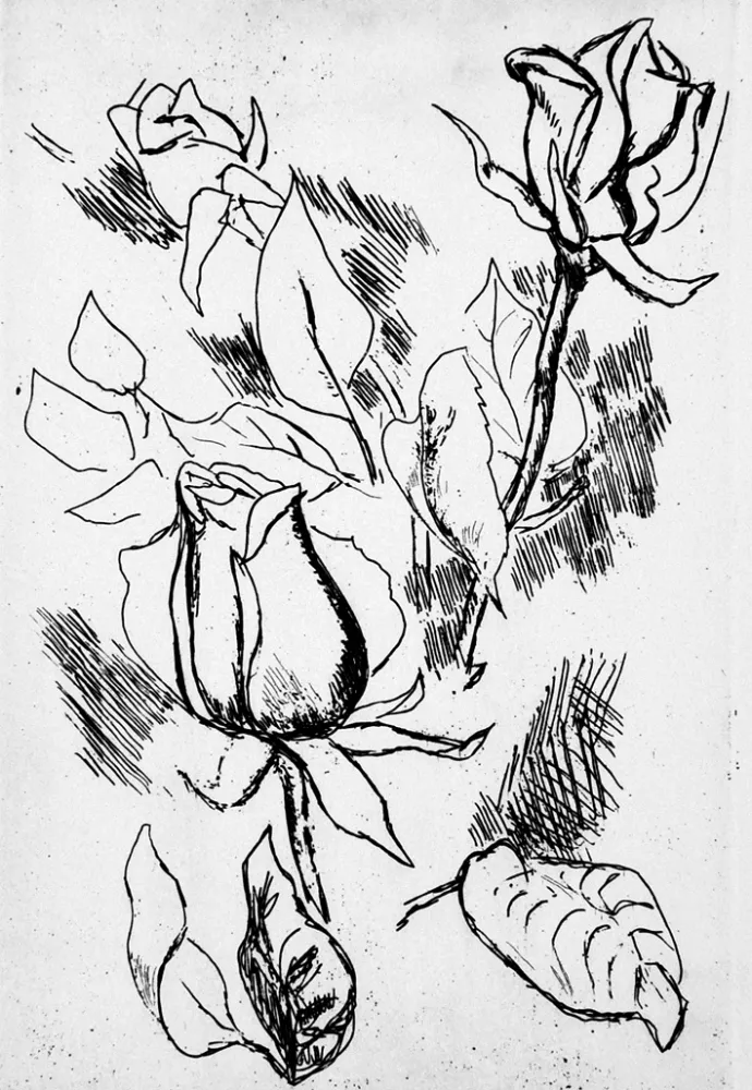 Иллюстрированная Книга Guttuso - Gli anni delle immagini perdute