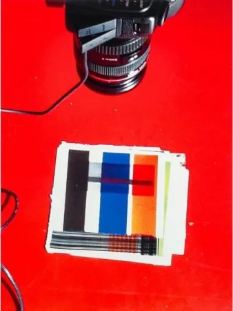 Многоэкземплярное Произведение Guyton - IMG_1919