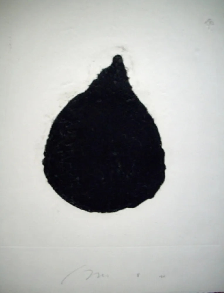 Карборунд Haas - Figue