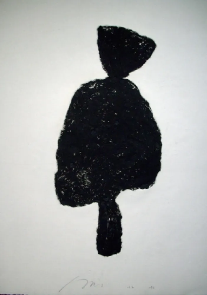 Карборунд Haas - Visage