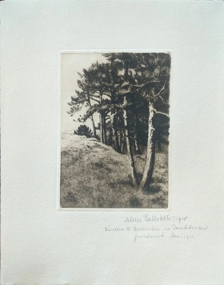 Гравюра Сухой Иглой Haasbauer-Wallrath - Untitled (Kiefern am Waldrand)