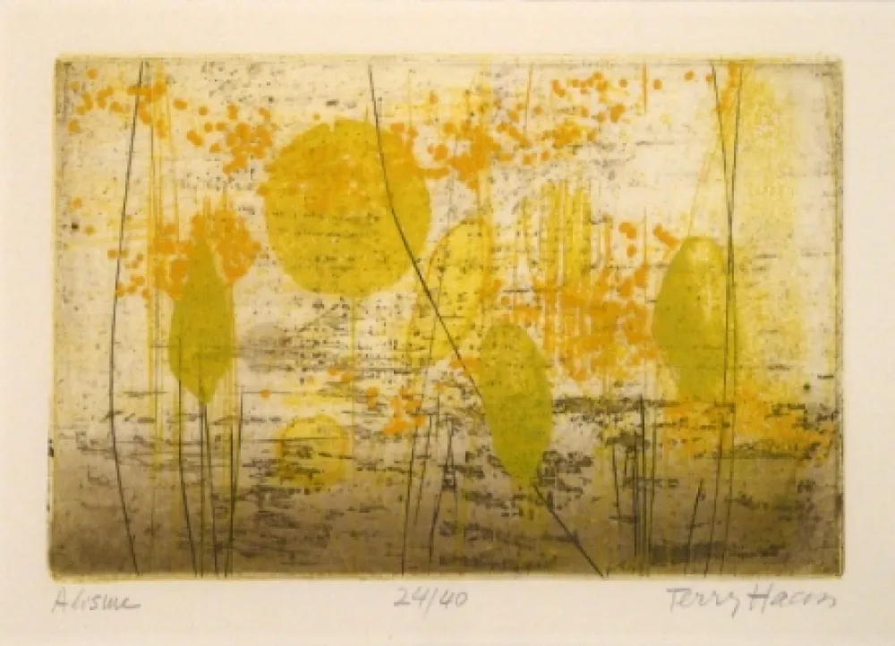 Гравюра Haass - Alisme