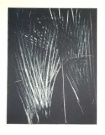 Литография Hartung - AL 5