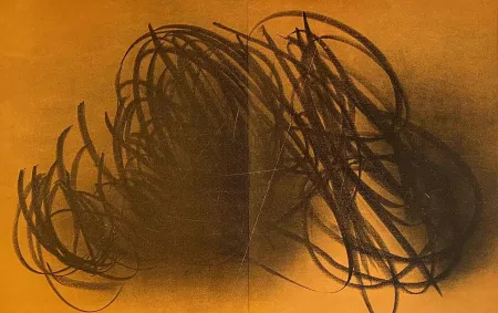 Литография Hartung - Farandole