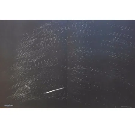 Литография Hartung - Farandole B