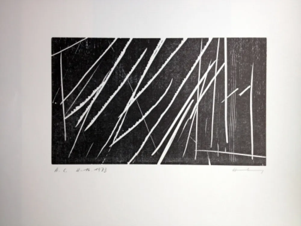 Гравюра На Дереве Hartung - H 16