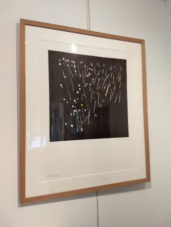 Литография Hartung - H13