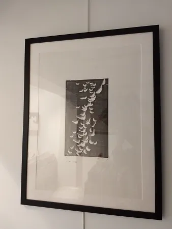 Литография Hartung - H14