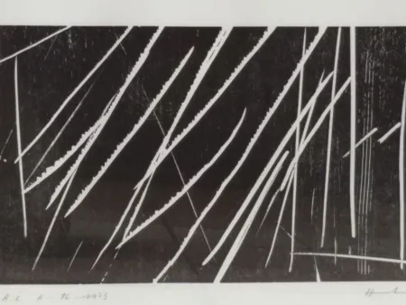 Литография Hartung - H16