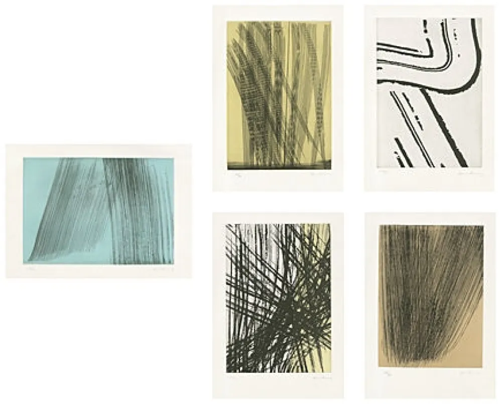 Иллюстрированная Книга Hartung - 