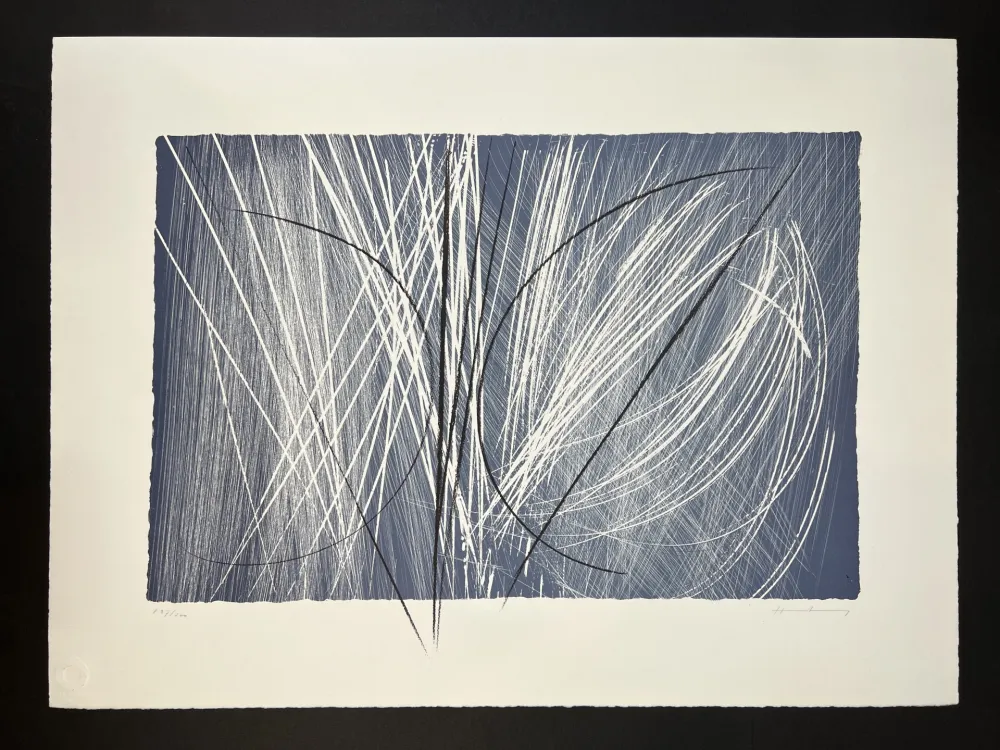 Многоэкземплярное Произведение Hartung - L 1971-2 