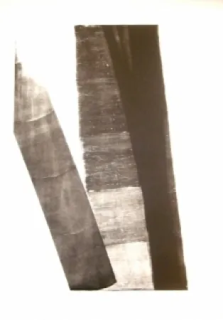 Литография Hartung - L-40