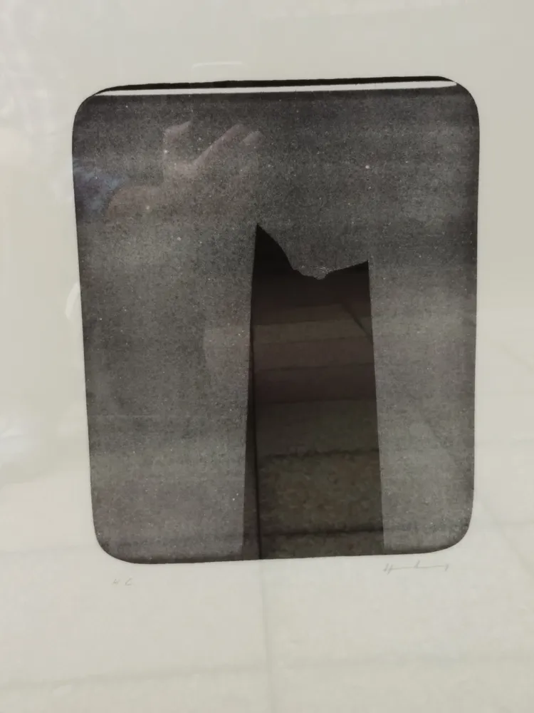 Литография Hartung - L20a