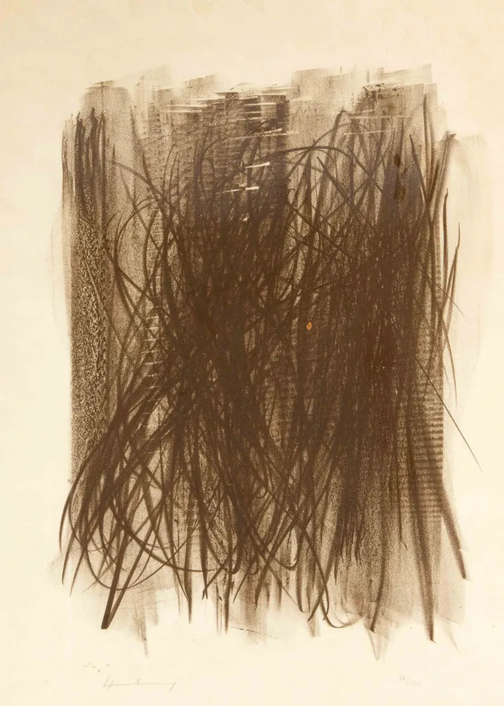 Нет Никаких Технических Hartung - L92