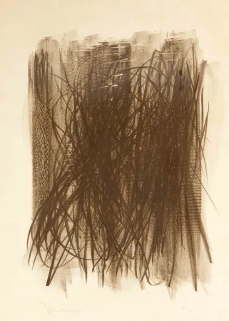 Нет Никаких Технических Hartung - L92