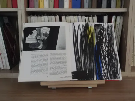 Иллюстрированная Книга Hartung - Xxe lazzaro no 43