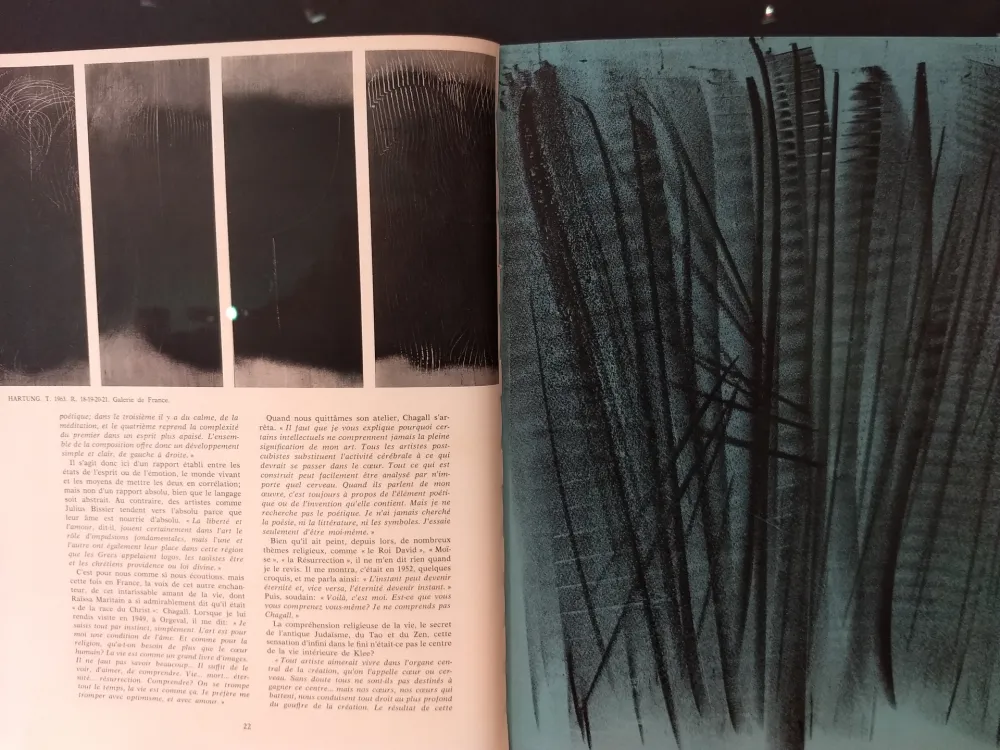 Иллюстрированная Книга Hartung - XXE No 24