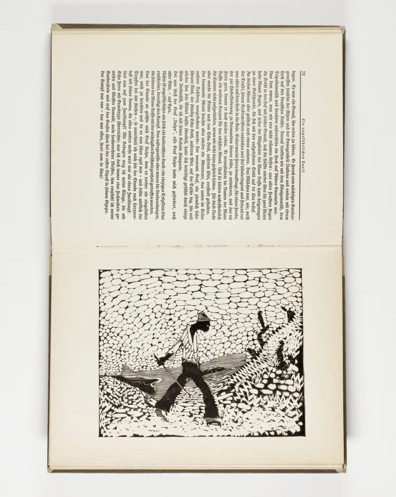 Иллюстрированная Книга Hasemann - Himmel und Hölle auf der Landstraße