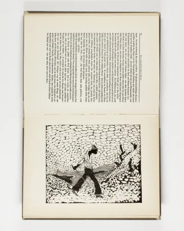 Иллюстрированная Книга Hasemann - Himmel und Hölle auf der Landstraße